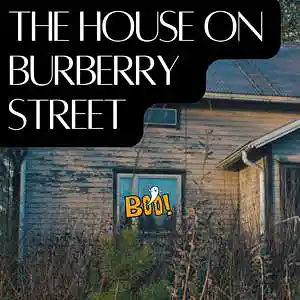 Picture for song 'The House on Burberry Street' by artist 'D E Farmer'