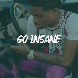 Picture for song 'Roddy Ricch x Lil Tjay Type Beat - "GO INSANE"' by artist 'ErieBeats'