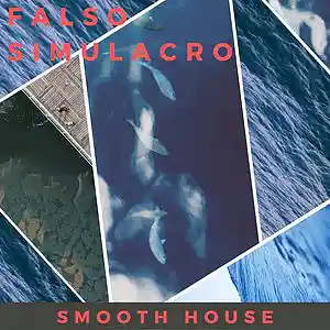 Picture for song 'Smooth House' by artist 'Falso Simulacro'