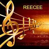 Picture for song 'It Dosent Matter' by artist 'Reecee Beats'