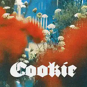 Picture for song 'COOKIE' by artist 'BaaYZe'