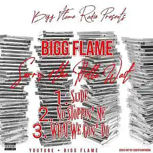 Picture for song 'No Stoppin Me' by artist 'Bigg Flame's Promoter'