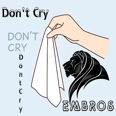 Picture for song 'Don't Cry' by artist 'Embros'