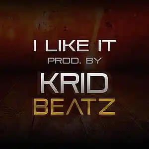 Picture for song 'I like it' by artist 'Krid Beatz'