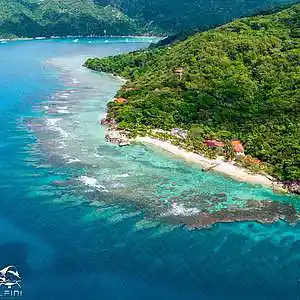 Picture for song 'LeMinhMan Molly Mall' by artist 'leminhman'