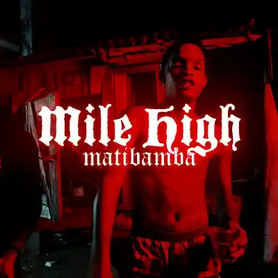 Picture for song 'Mile High - Dancehall Type Beat' by artist 'matibamba'
