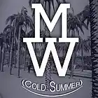 Picture for song 'Cold Summer (MaxWittOfficial.Com)' by artist 'Max Witt (Beats and Instrumentals)'