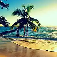 Picture for song 'Summer Demo' by artist 'musicandmoreforyou'