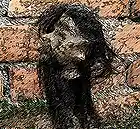 Picture for song '1' by artist 'myshrunkenhead'