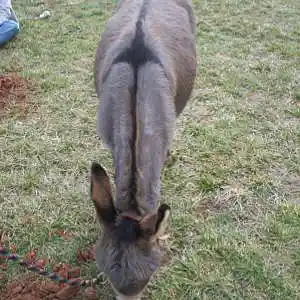 Picture for song 'Loving For Losing' by artist 'Off The Rails'