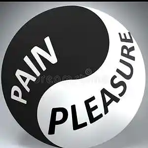 Picture for song 'Pain Is Pleasure' by artist 'RoRo Beats'
