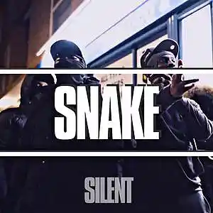 Picture for song '"SNAKE" Dark Afro Drill Type Beat NY Drill Type' by artist 'Silent The Producer'