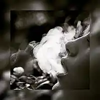 Picture for song 'The Vibe Prod By Smoke' by artist 'Smokstradamus'