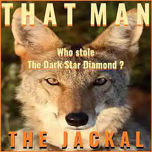 Picture for song 'The Dark Star Diamond (Shooting At The Club)' by artist 'That Man'