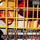 Picture for song 'do what i want' by artist 'trileon'