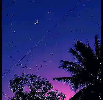 Picture for song 'TRAP BPM 80 DB9' by artist 'UVABEATSPROD'