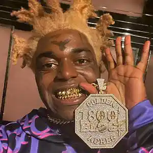 Picture for song 'We Rob The Bank (Kodak Black Type Beat)' by artist 'Bangers'