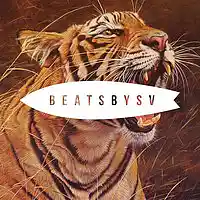 Picture for song 'Alaka (SOLD)' by artist 'BeatsbySV'