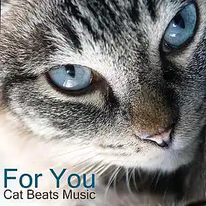 Picture for song 'For You' by artist 'Cat Beats'