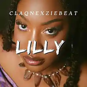 Picture for song 'Lilly - Afrobeat Instrumental' by artist 'ClaqnexzieBeat'