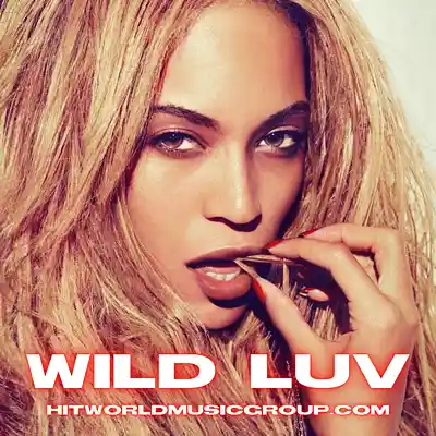 Picture for song 'Wild Luv (Beyoncé Type Beat)' by artist 'HITWORLD MUSIC GROUP'