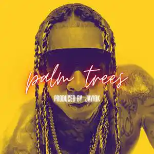 Picture for song 'Palm Trees (Tyga type beat 2022)' by artist 'Jay10k producer'
