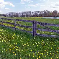 Picture for song 'Over The Fences' by artist 'Lee Shapiro'