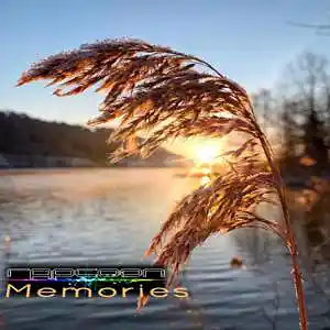 Picture for song 'Memories' by artist 'Rapcoon'