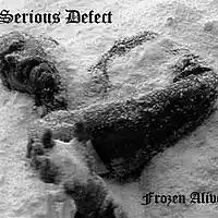 Picture for song 'FROZEN ALIVE - The Kill Zone/Morbid Suicide Live' by artist 'Serious Defect'