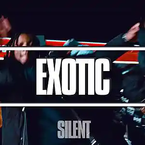 Picture for song '"Exotic" Russ Millions x Afro Drill Type Beat' by artist 'Silent The Producer'