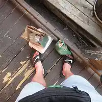 Picture for song 'SeashoreSymphony' by artist 'Steve Mornini'