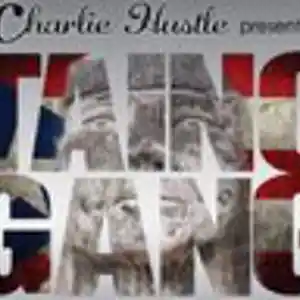 Picture for song 'Chain Gang Feat LEP Bogus Boys' by artist 'Taino Gang'