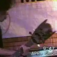 Song picture