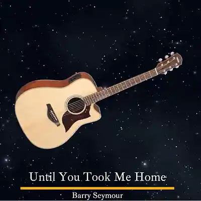 Song picture of 'Until You Took Me Home'