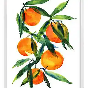 Picture for song 'Tangerine' by artist 'Black Chalk'