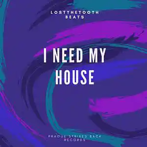 Picture for song 'I NEED MY HOUSE' by artist 'KILLAH BEATS'