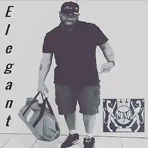 Picture for song 'Elegant featuring Los1 & Godxilla' by artist 'Nova B'