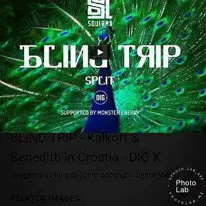 Picture for song 'blind trip' by artist 'Oson'