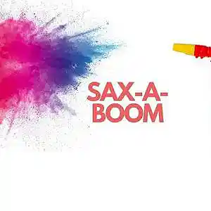 Picture for song 'Sax-A-Boom Extended (C&P Demo)' by artist 'Roland The Artist'