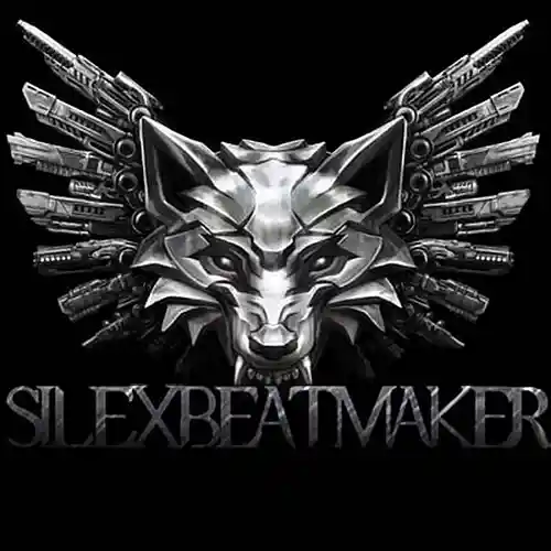Picture for song 'salope ' by artist 'silexbeatmaker'