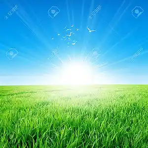 Picture for song 'Bright Morning-Korea Language-mp3' by artist 'Sakamoto Taiki'