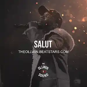 Picture for song 'Salut' by artist 'THEOLLWIN'