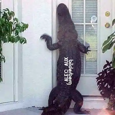 Picture for song 'Bilderberg' by artist 'Alec Aux'