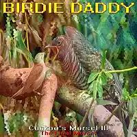 Picture for song 'Cuckoo's Morsel III: The Final Morsel (uncut)' by artist 'Birdie Daddy'