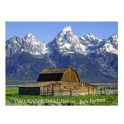 Picture for song 'You Can't Imagine' by artist 'Bob Forbes'