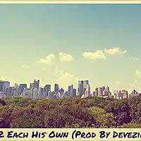 Picture for song '2 Each His Own (Kent Jones Type) - Devezin.com' by artist 'Devezin'