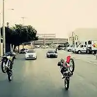 Picture for song 'Goldy Beat' by artist 'Dreams Exil Records'