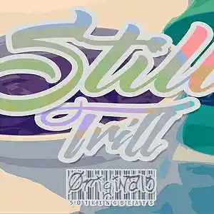 Picture for song 'Future x Lil Wayne x 2 Chainz x MoneyBagg Yo Type' by artist 'i501KINGBEATS'