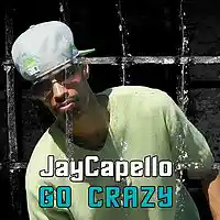 Picture for song 'JayCapello - Go Crazy' by artist 'JayCapello'