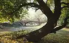 Picture for song 'Stroll In The Park' by artist 'MarinateMusic'